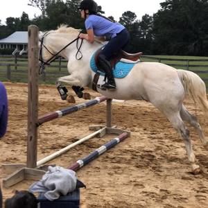 Meet your Posher, Sara